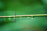Artistic Directory, uk web portfolio, web portfolio uk
